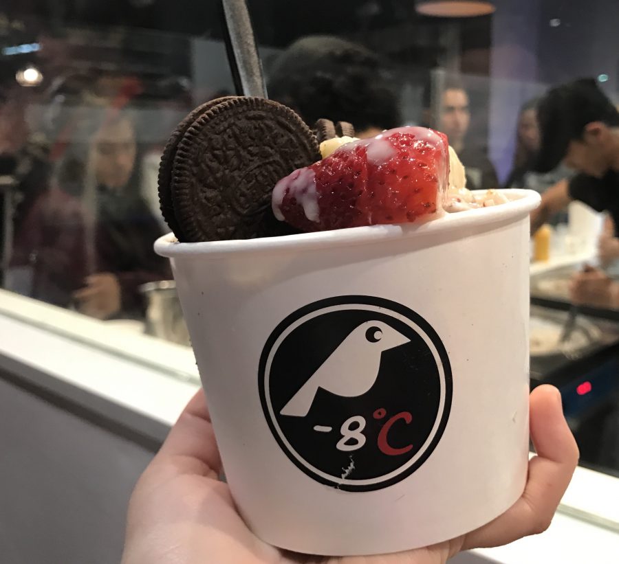 I Scream, You Scream, We All Scream for -8℃ Ice Cream