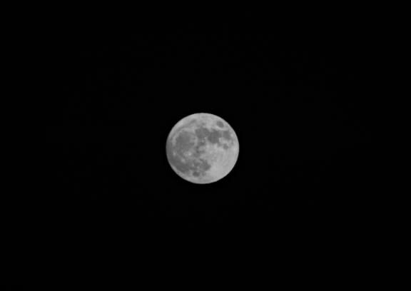 With the full moon shining this Halloween, NASA’s recent announcement about finding water on the Moon has us all looking upwards. Mrs. McCulloch (Earth & Space Science and Physics) expressed that NASA’s discovery, “is re-exciting people to have that child-like wonder and curiosity. I think that’s the bigger impact.”