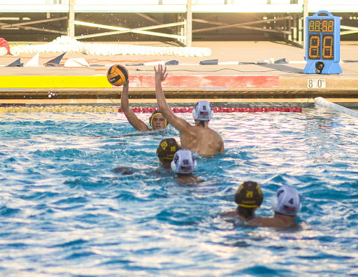 Athlete of the Week: Tyler Reed