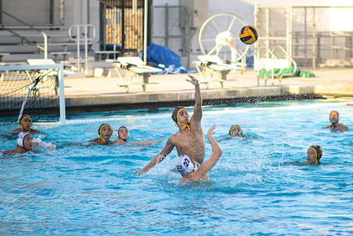 Athlete of the Week: Tyler Reed