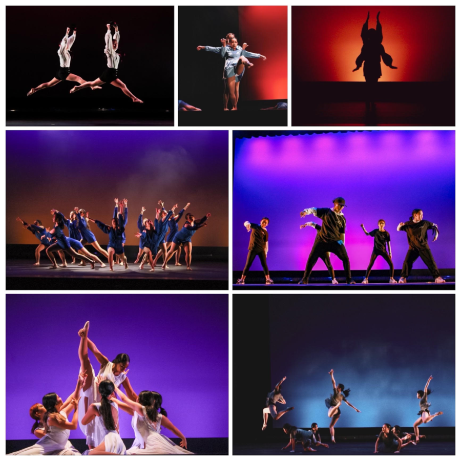 WHS+Dance+runs+through+their+perfected+performances+after+adapting+to+last+minute+changes.+Despite+the+added+difficulty%2C+choreographer+Ray+Pham+%2811%29+expressed%2C+%E2%80%9CEveryone+has+been+trying+their+best+to+overcome+these+challenges+and+it%E2%80%99s+been+amazing+to+see+the+team+work+harder+than+ever%21%E2%80%9D+The+dancers+successfully+persevered+through+all+of+their+troubles%2C+bringing+another+spectacular+show+to+the+West+High+Performing+Arts+Center.+