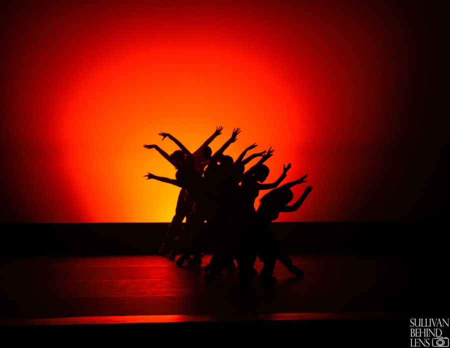 Mesmerizing viewers, the dance team creates captivating shadow silhouettes. For months and months, the dance department worked tirelessly to perfect the show. Beginning dancer Alissa Phillips (9) explained how, “We practiced every single day up until the final day of the show to make it as good as possible.” 