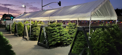 Christmas trees sold by the West High Entertainment Unit ranged from four to eight feet tall and were typically in the price range of $65 to $120.