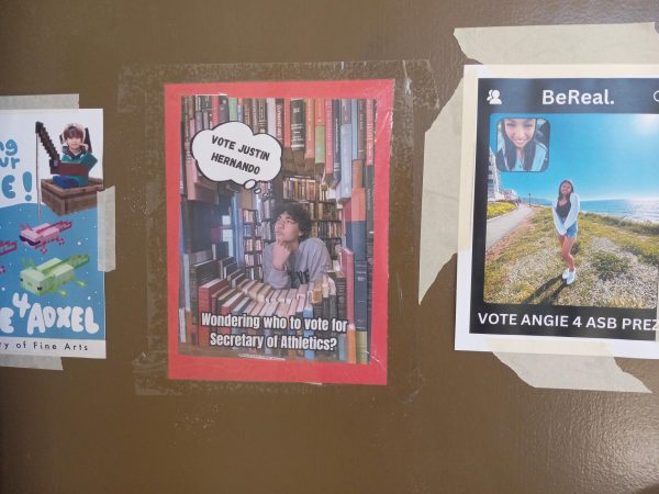 To get votes for the upcoming election, many candidates have to advertise themselves to their peers. Candidates made their posters in an unique way so that their poster stands out from the rest.
