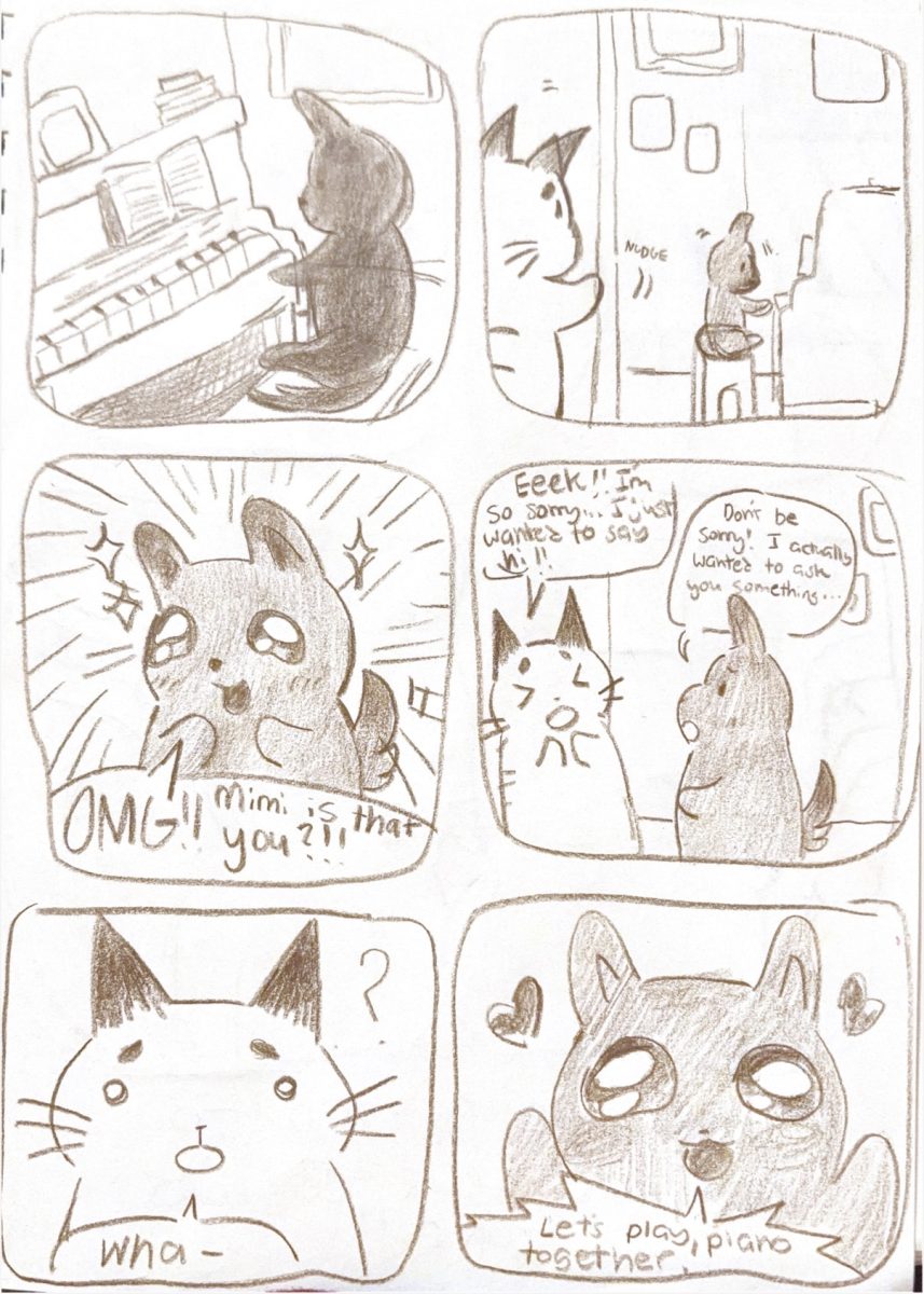 Comfort Zone Cat