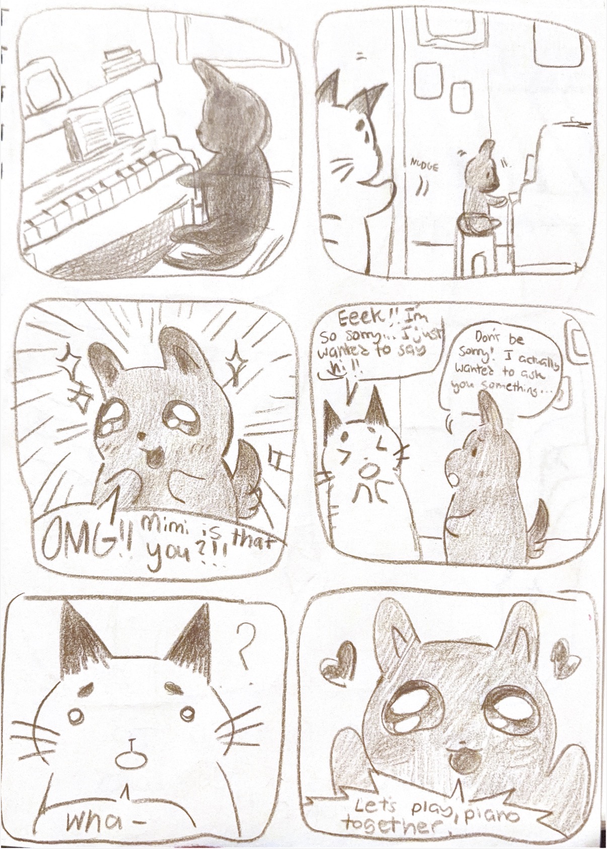 Comfort Zone Cat
